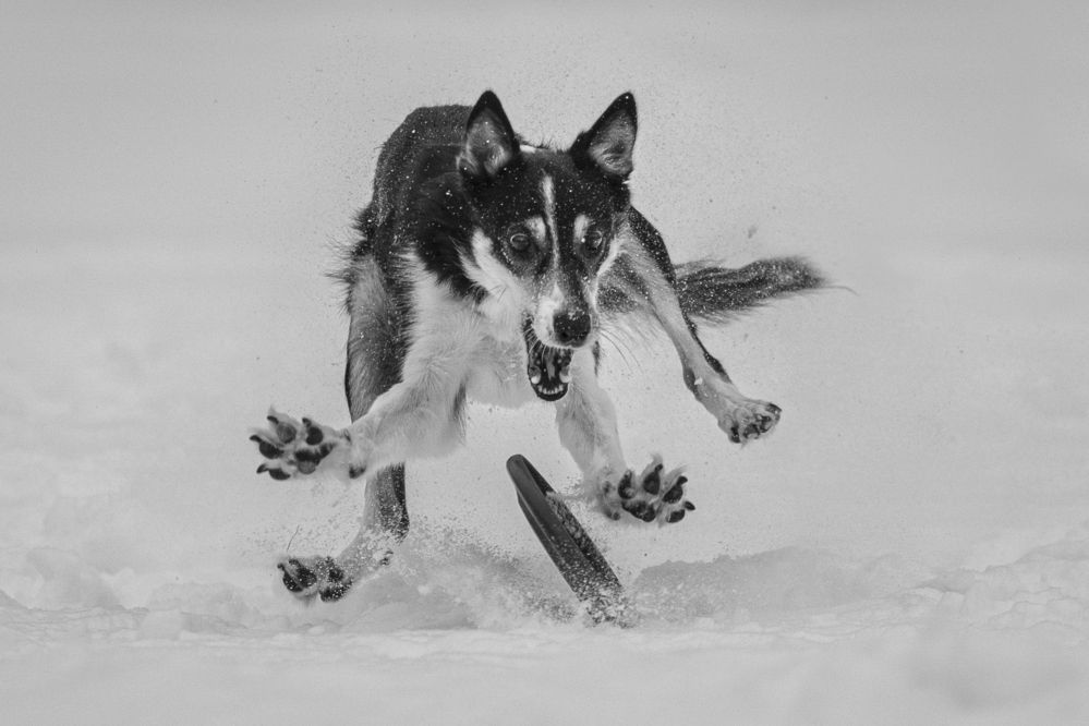 Photograph by Яна Нарбутович