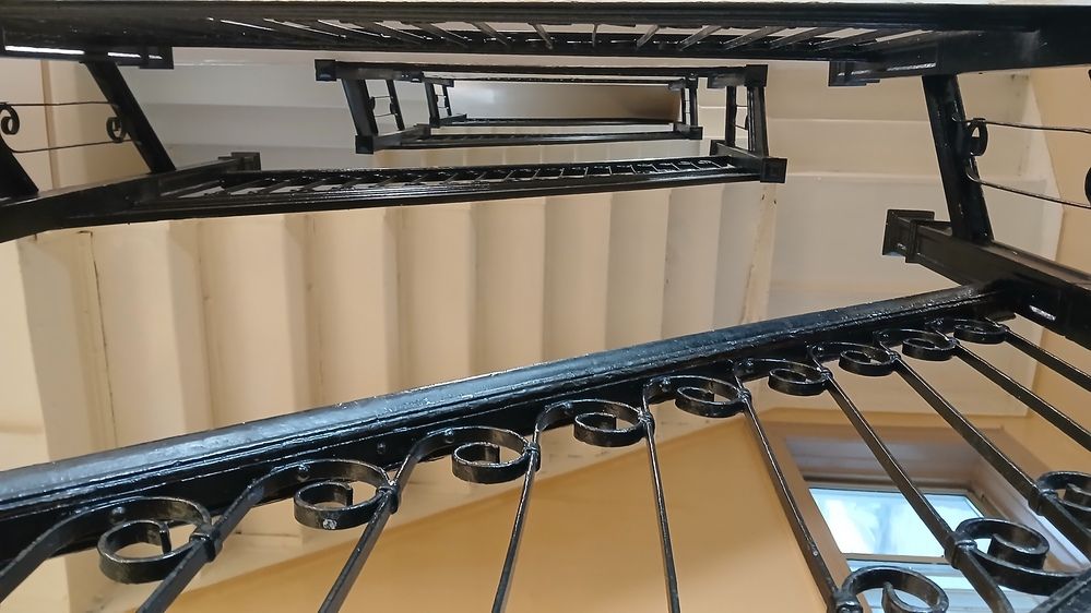 Фотография автора Adriana Rocha