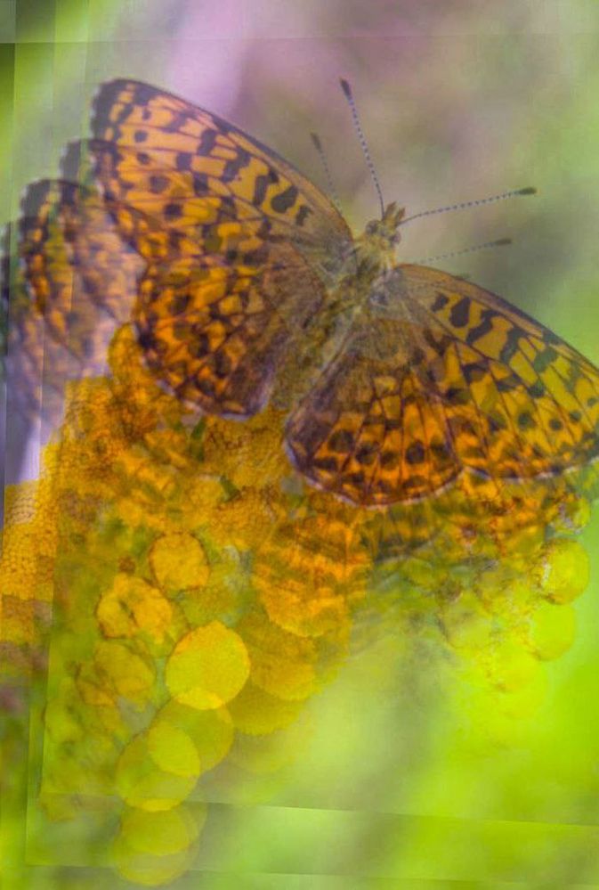 Photograph by Михаил Мархинин