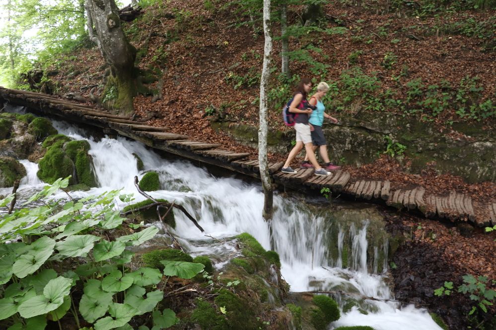 Photograph by Александр Лазебник