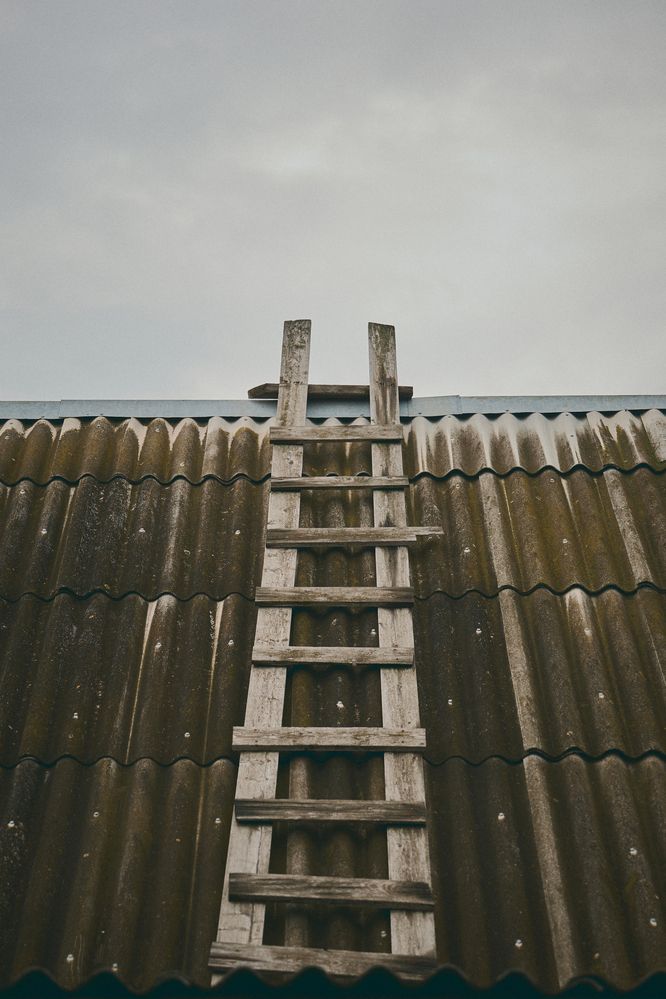 Photograph by Елизавета Соломатина