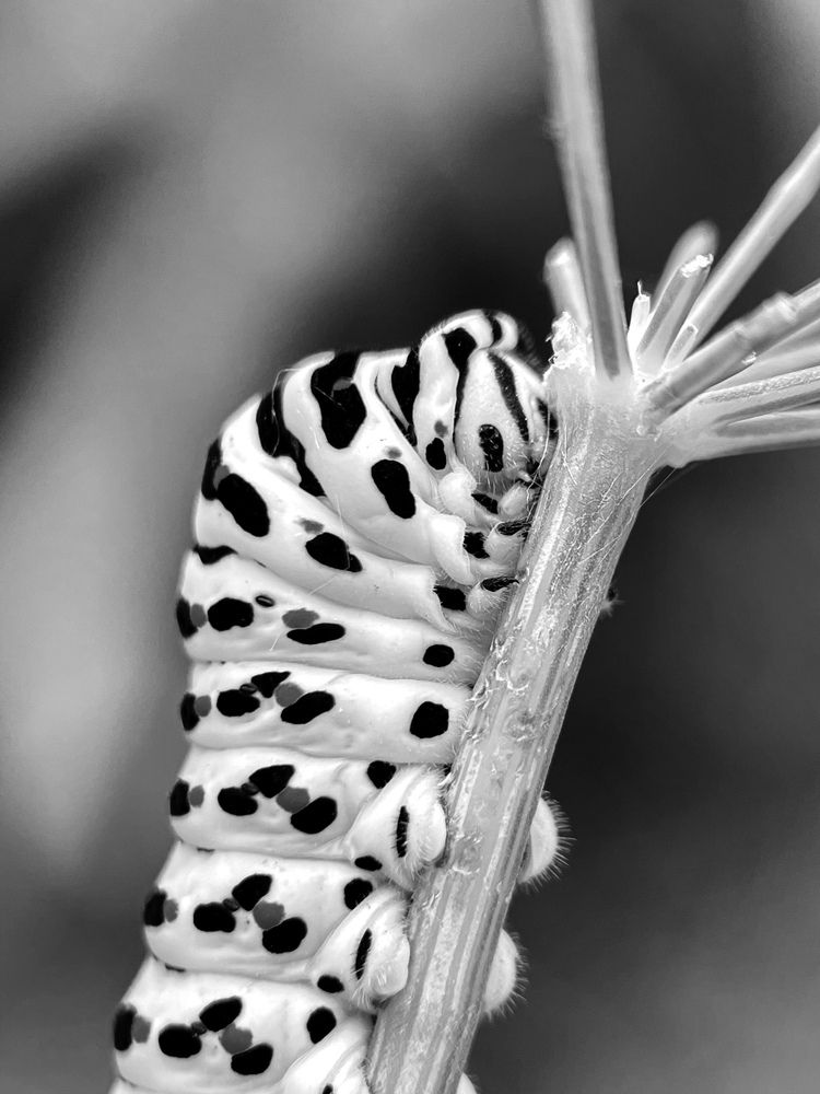 Photograph by Юлия Максимова