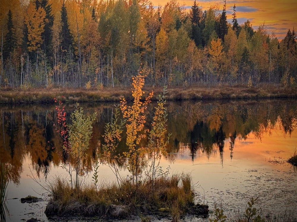 Photograph by Татьяна Смирнова