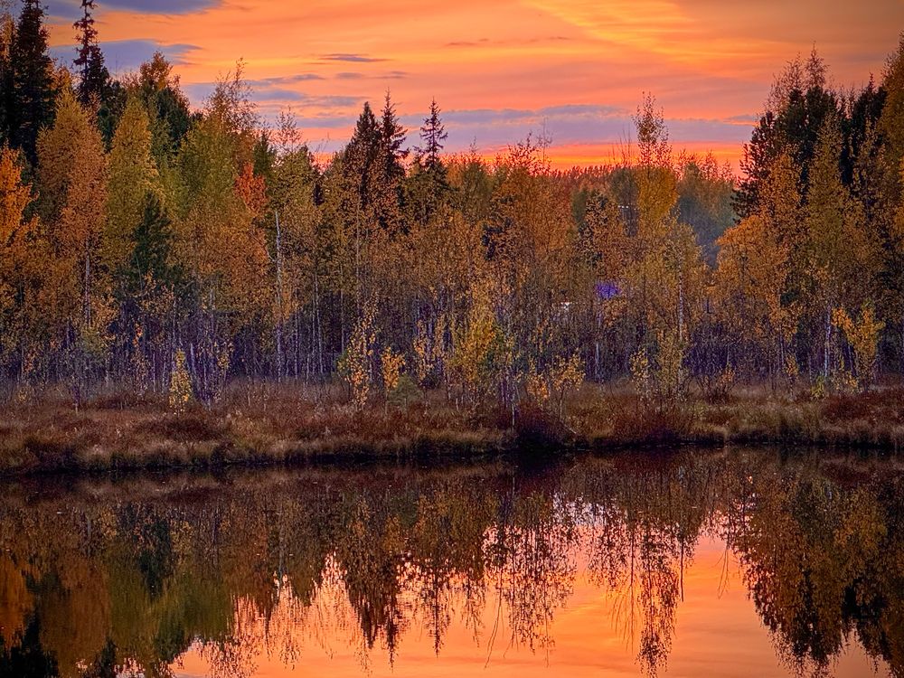 Photograph by Татьяна Смирнова