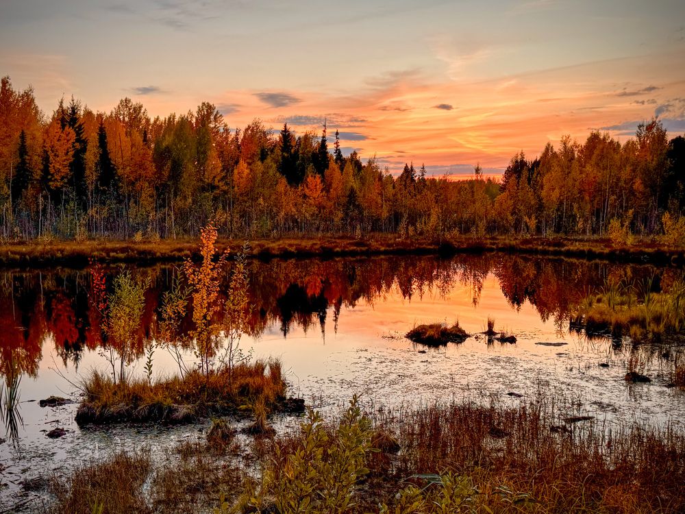 Photograph by Татьяна Смирнова