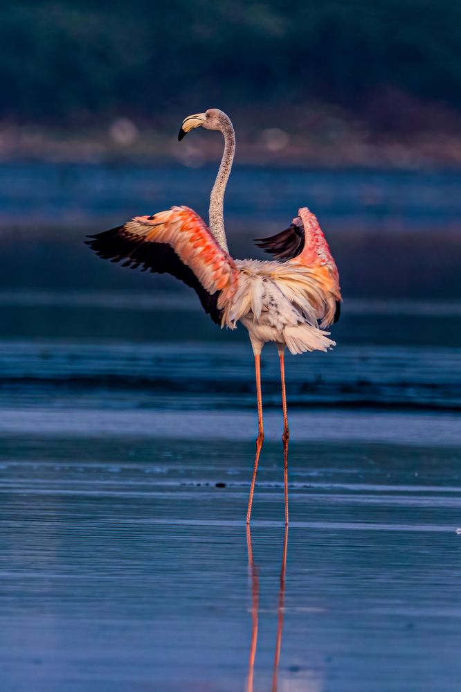 Photograph by Zinda Shaik Mohideen M