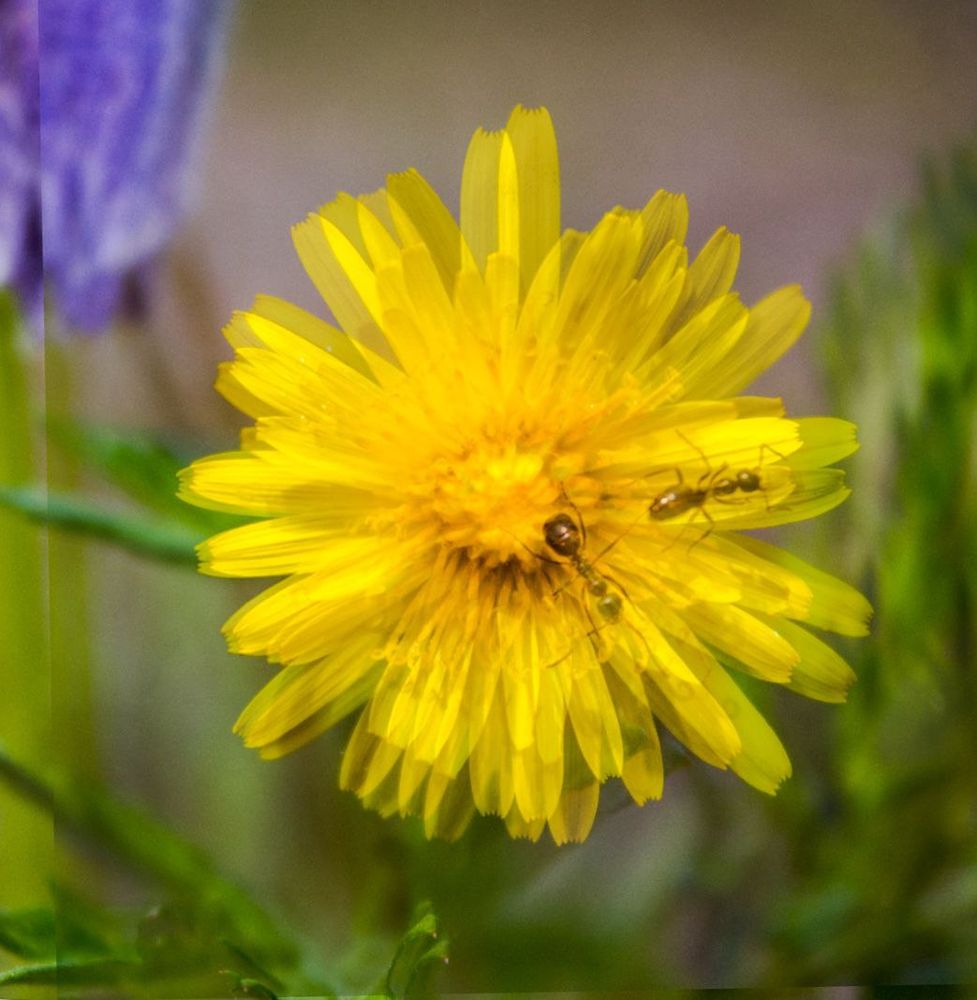 Photograph by Михаил Мархинин