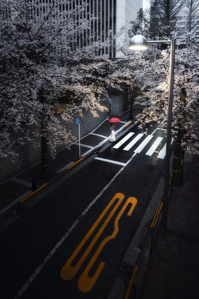 Фотография автора i_ ha__to