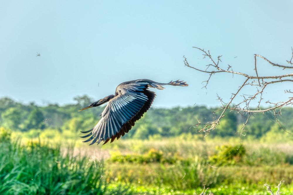 Photograph by Анатолий Костерев