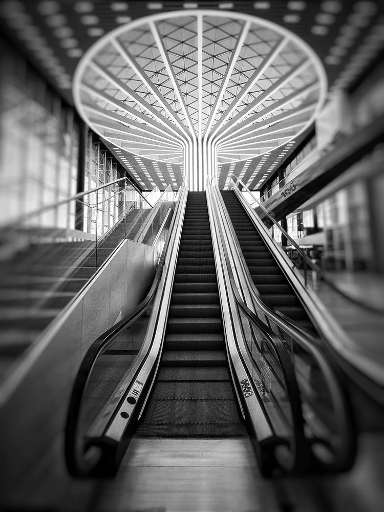 Photograph by Елена Ласун