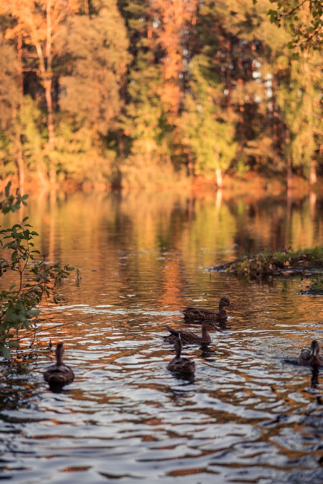 Photograph by Олеся Владимирова