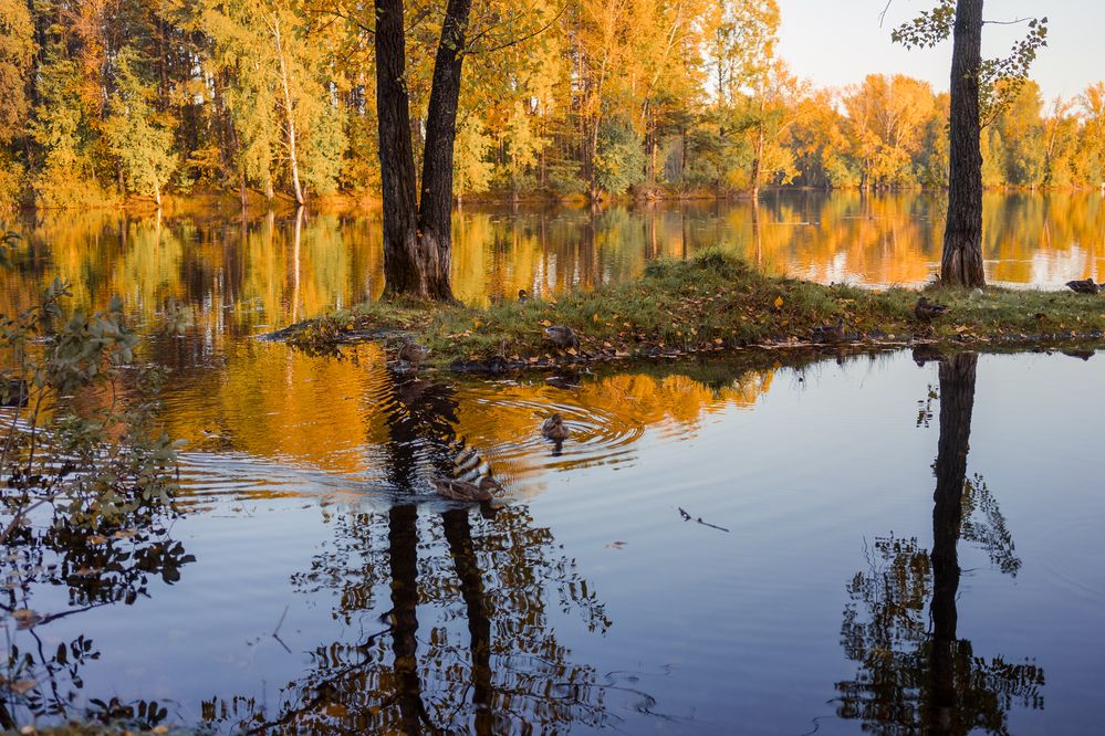 Photograph by Олеся Владимирова