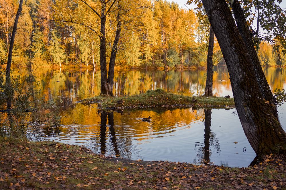 Photograph by Олеся Владимирова