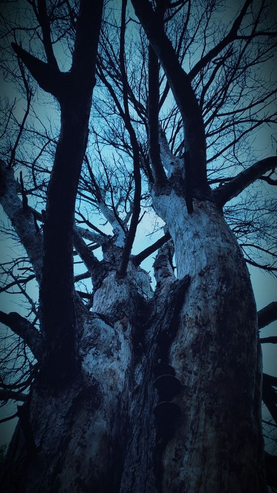 Фотография автора Aamoda Kitchen