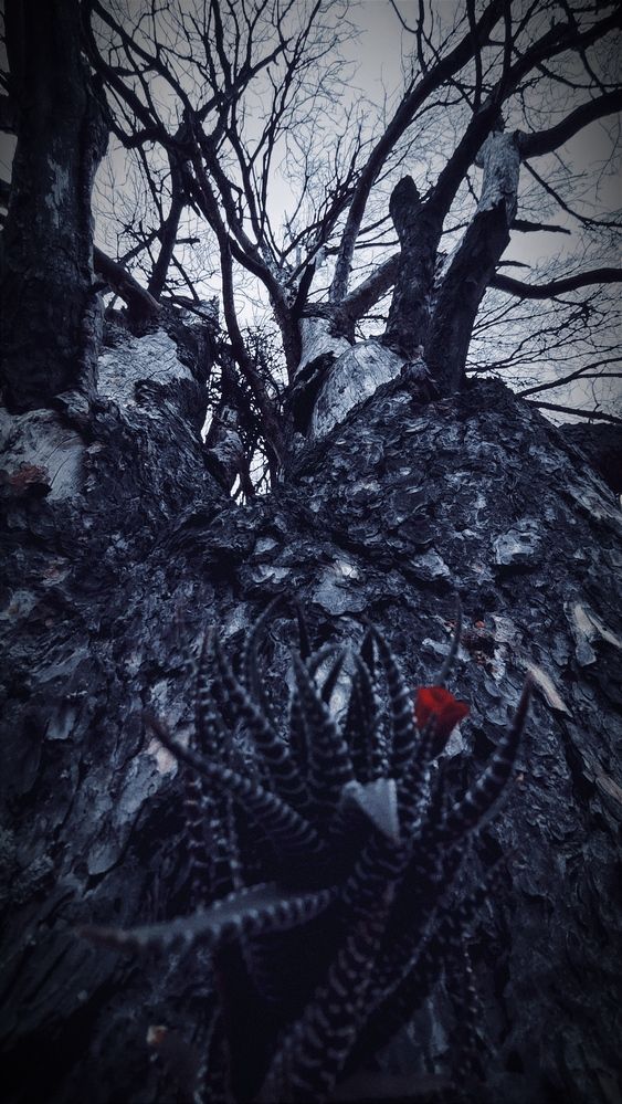 Фотография автора Aamoda Kitchen