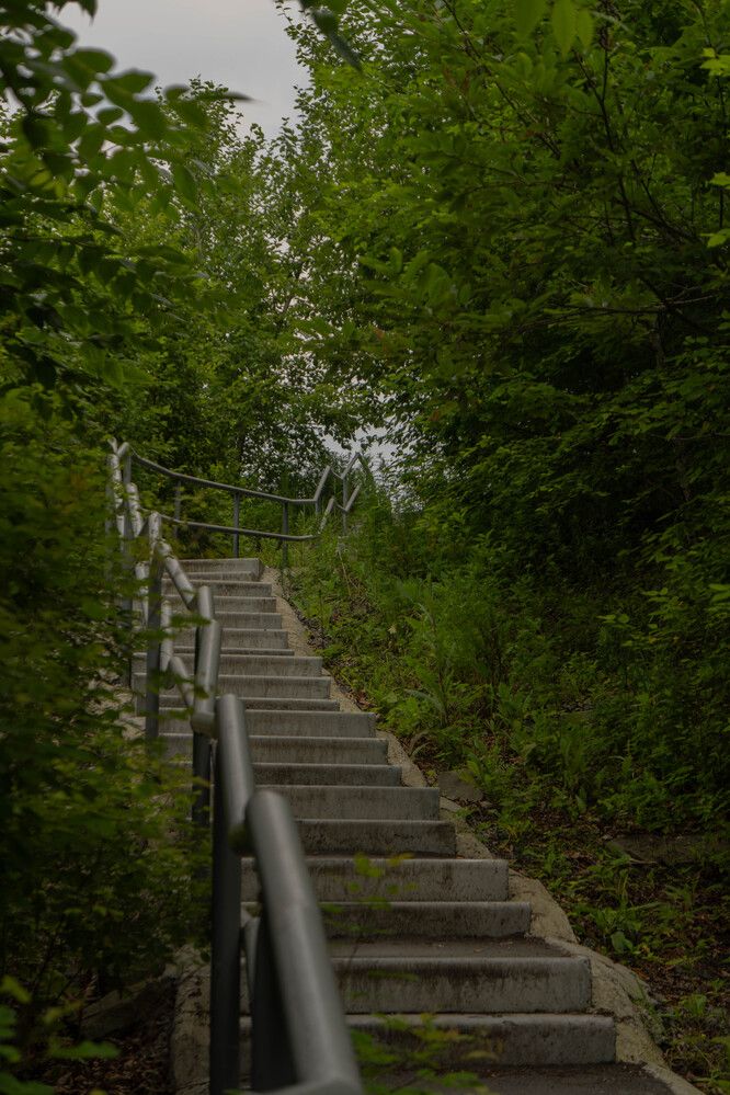 Photograph by Дмитрий Сердитов