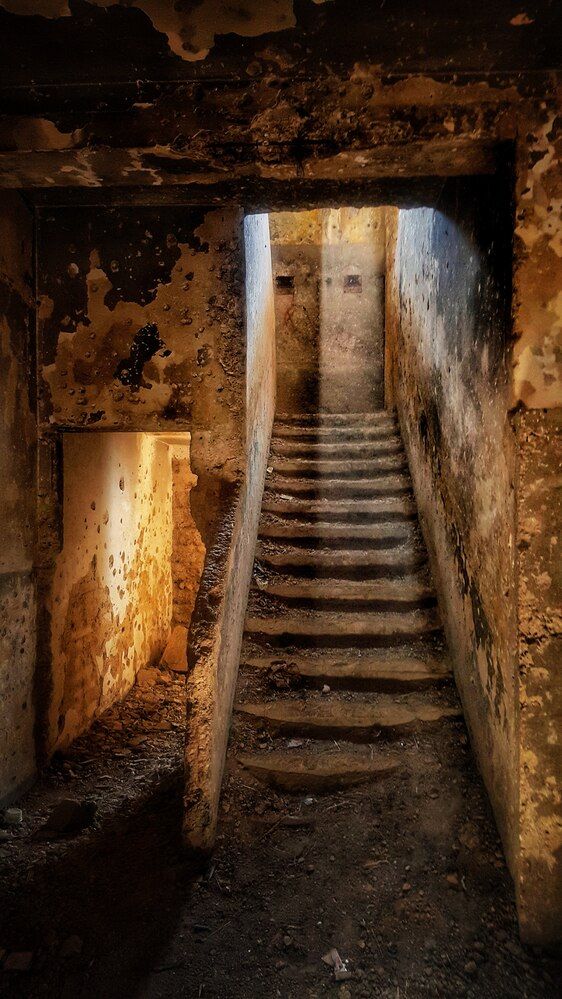 Photograph by Abdallah Khader