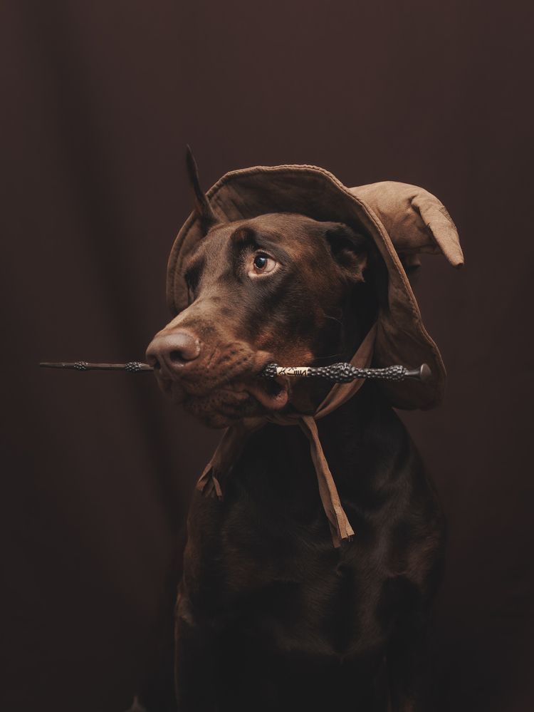 Photograph by Мария Клещенко