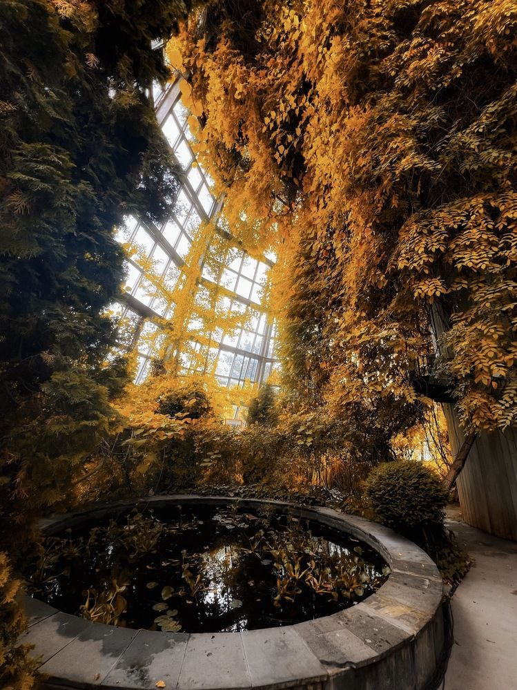 Photograph by Дмитрий Арабаджи