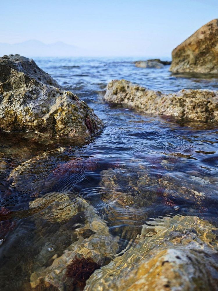 Фотография автора Natalya Firsova