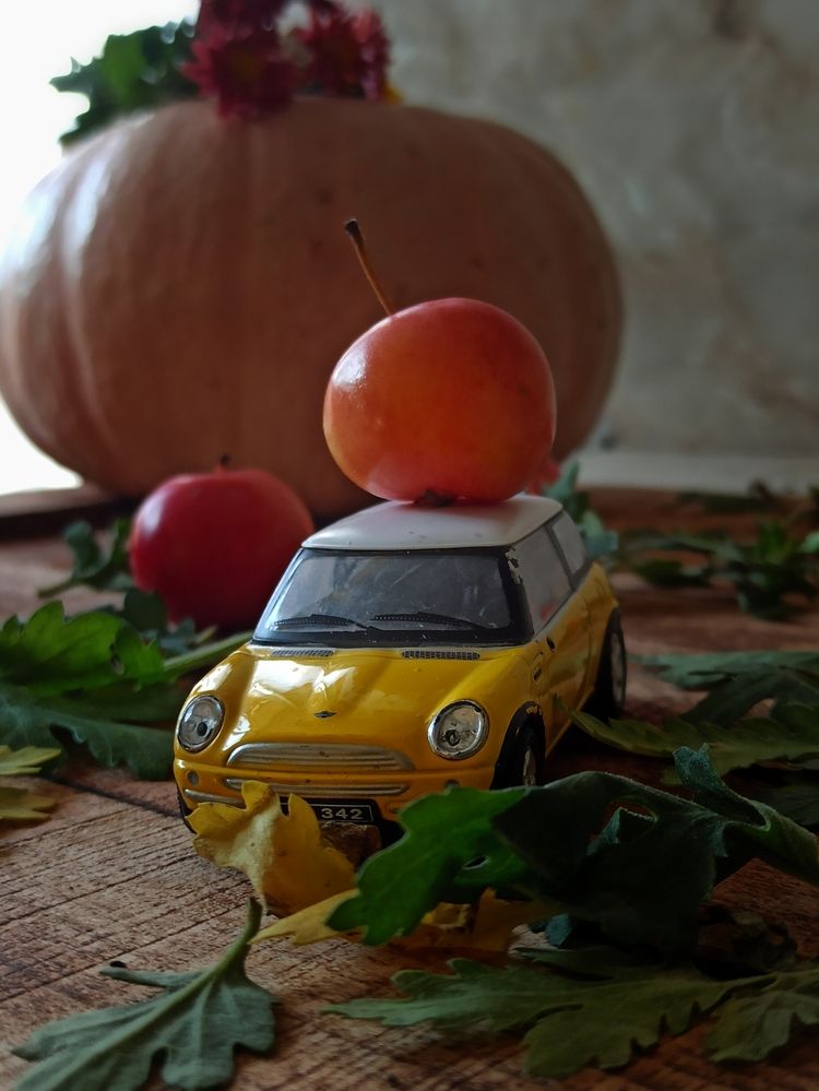 Photograph by АЛЛА ТАРАСЕНКО