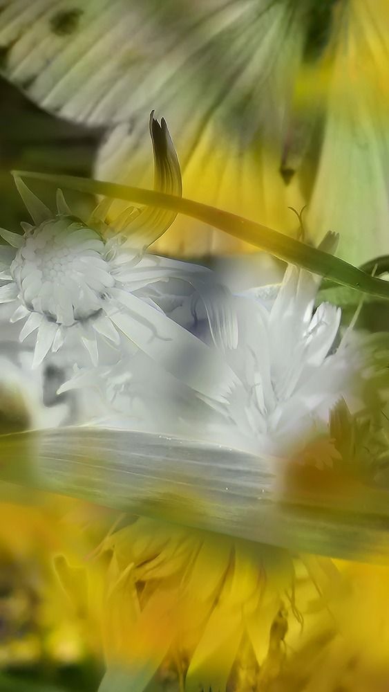 Photograph by Оксана Крылович