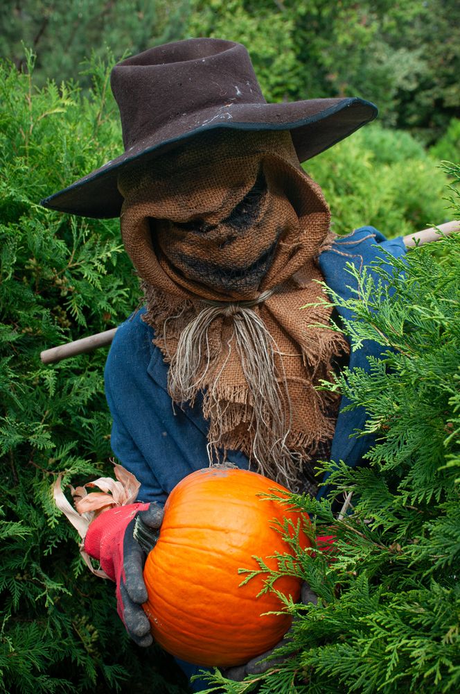 Photograph by Dragan Leles