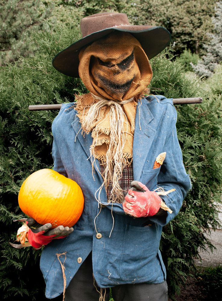 Photograph by Dragan Leles