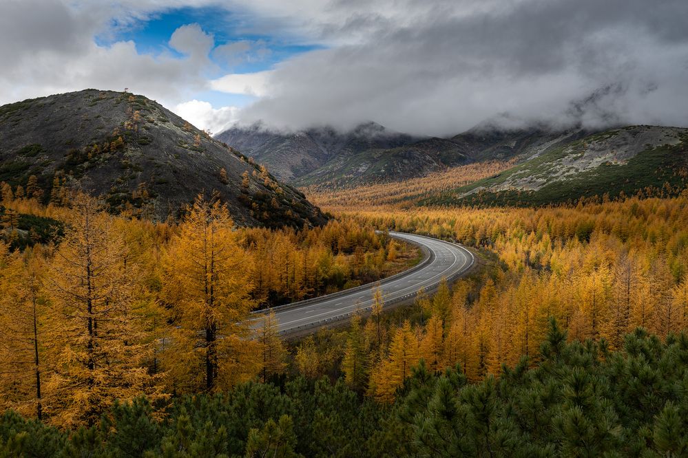 Photograph by Светлана Гореликова