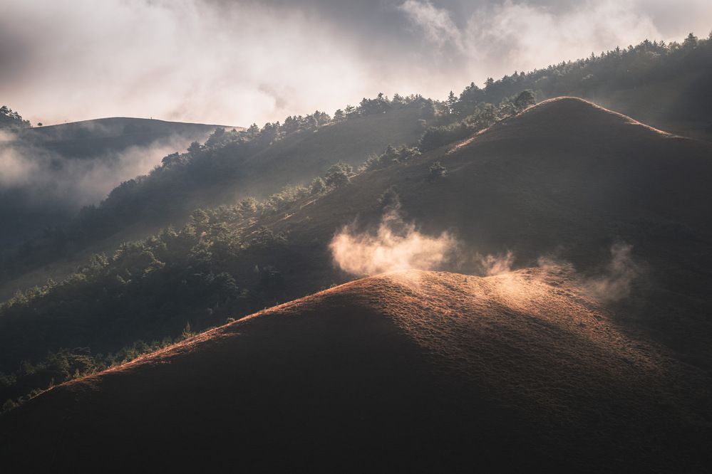 Photograph by Толстоноженко Илья