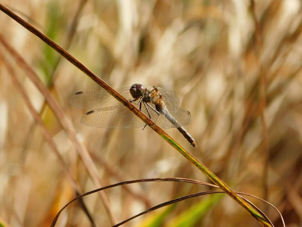 Photograph by Александр Прядко