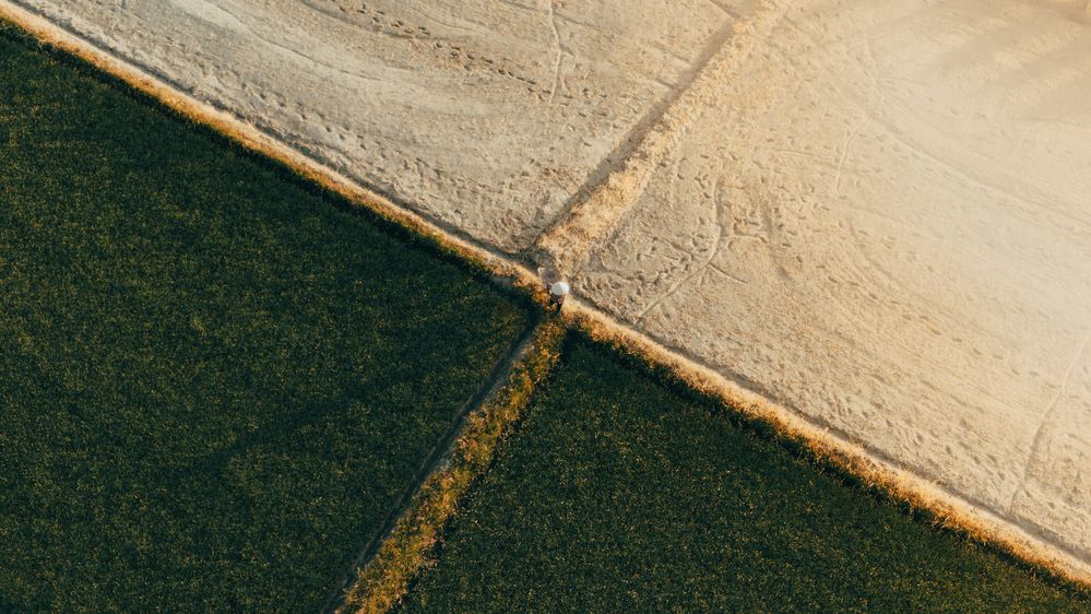 Photograph by Phu Phan Lap