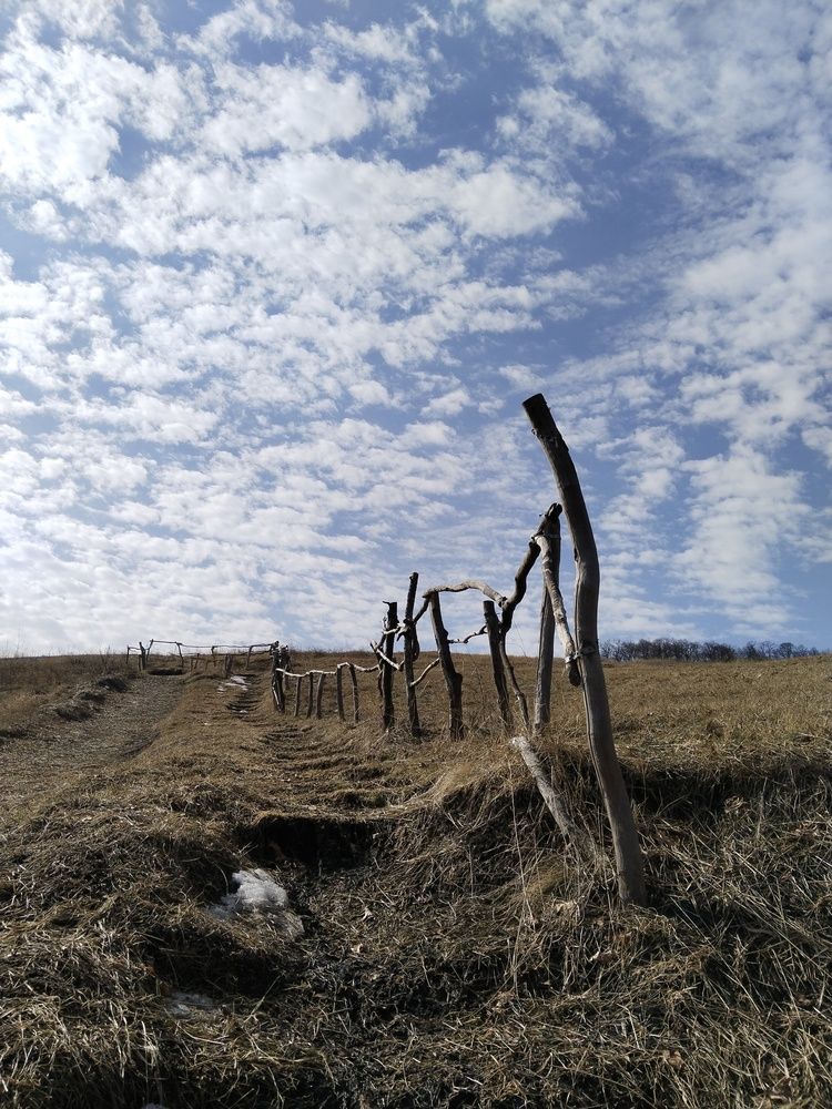 Photo #12659919