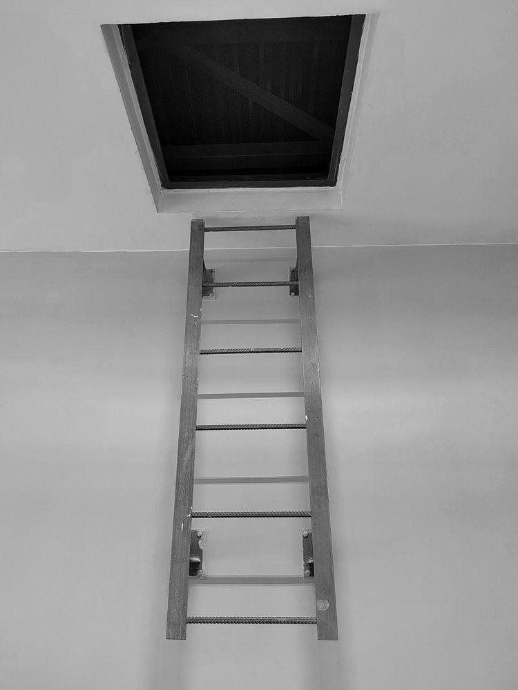 Photograph by Ольга Дружинина