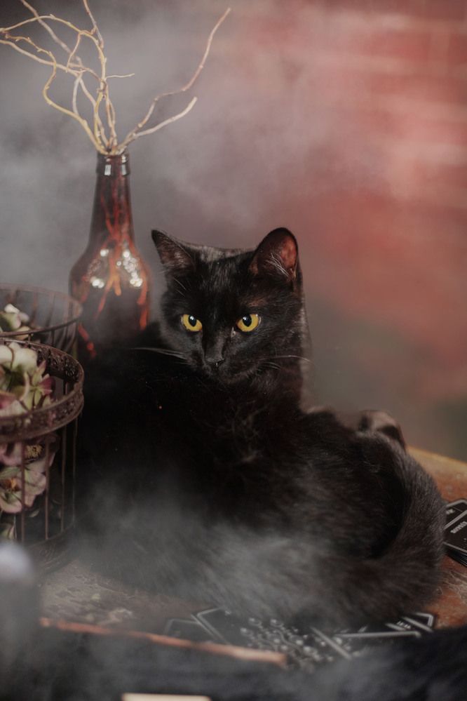 Photograph by Инна Леонтьева