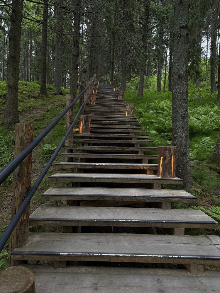 Photograph by Ольга Осинина