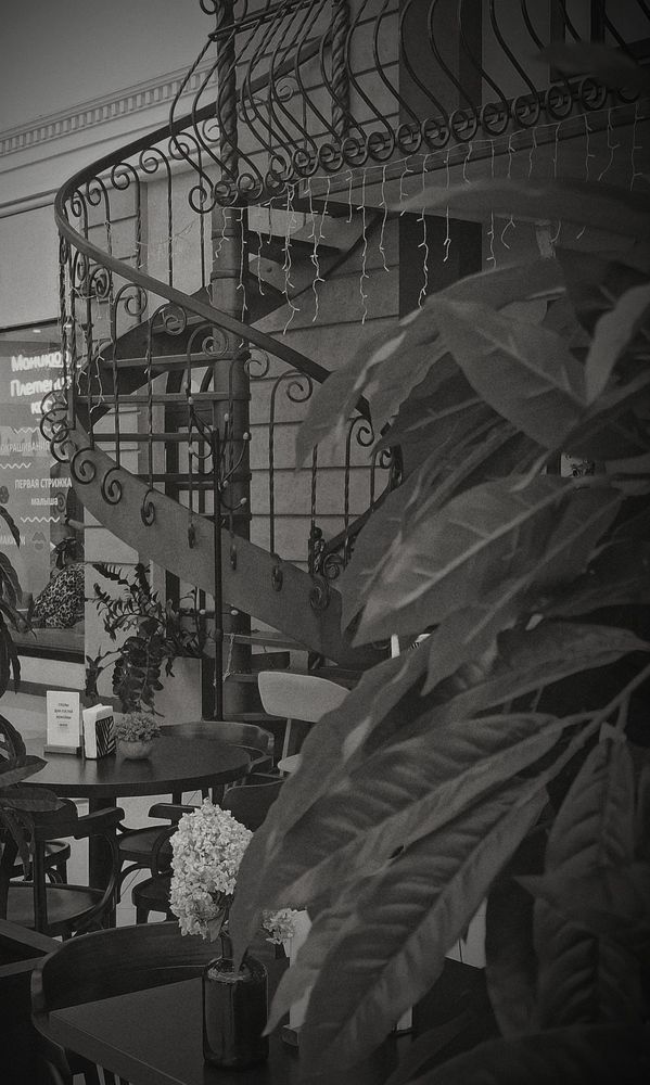 Photograph by АЛЛА ТАРАСЕНКО