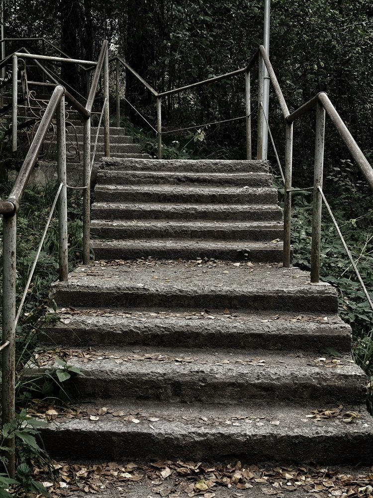 Photograph by Светлана Филина