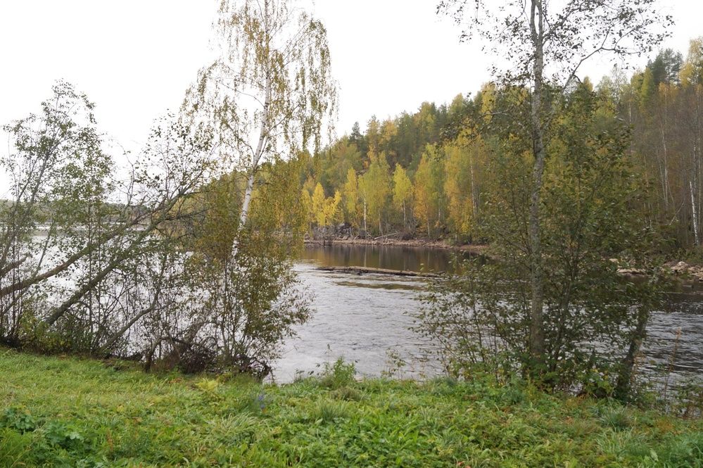 Photograph by Светлана Филина