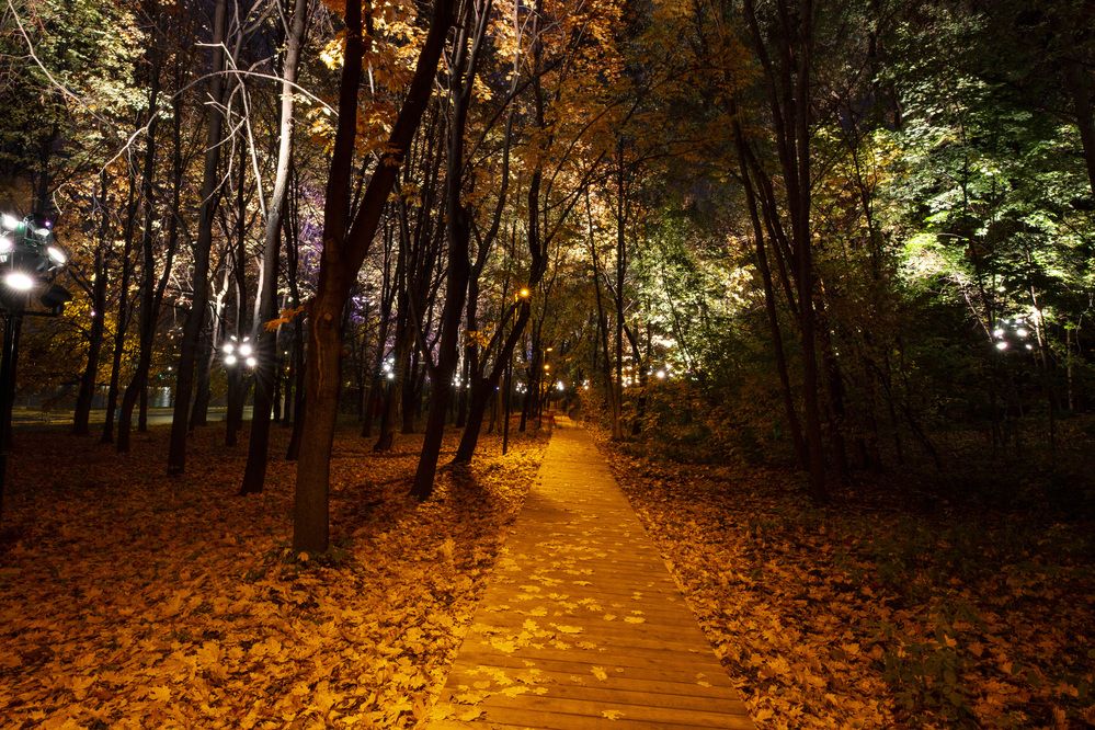 Фотография автора Юрий Грудовик