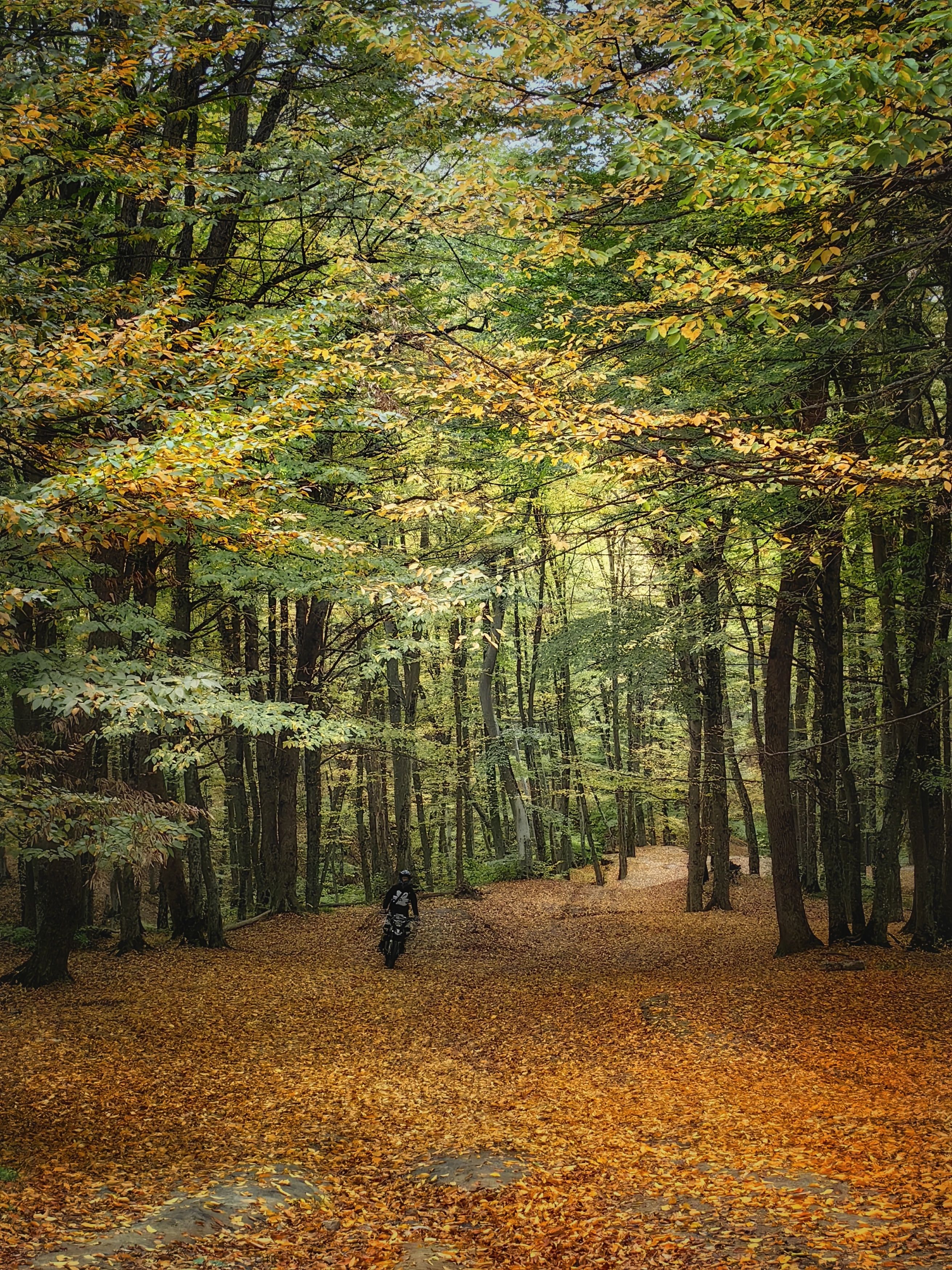 Photograph by OLGA MIKHNEVICH