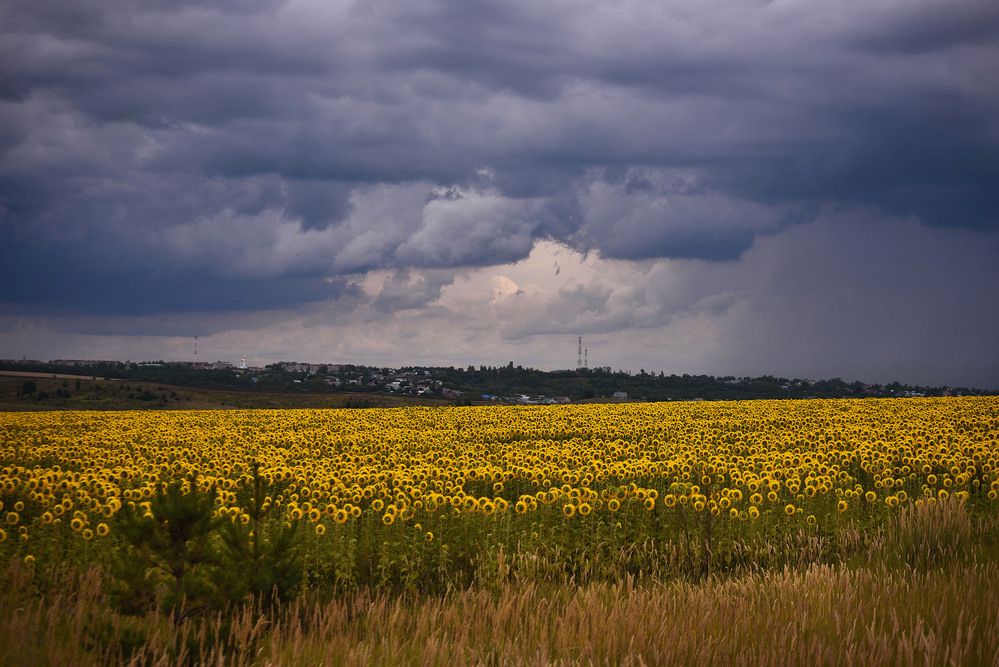 Photograph by Чиндяйкина Елена