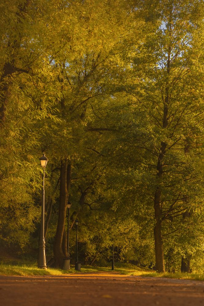 Photograph by Лариса Осьмак