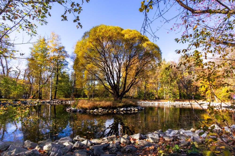 Photograph by Максим Фролов