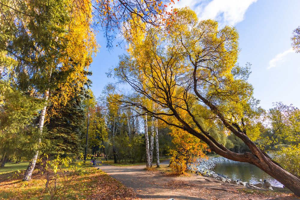 Photograph by Максим Фролов