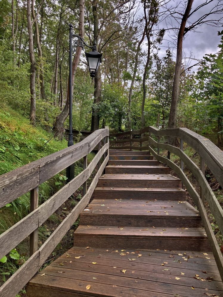 В осеннем парке