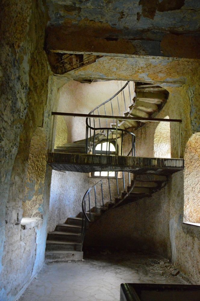 Photograph by Ольга Шевцова