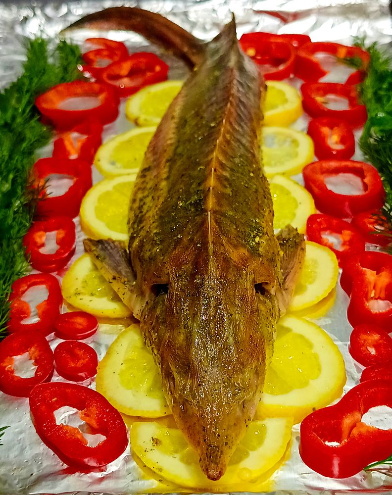 Фотография автора Rafa