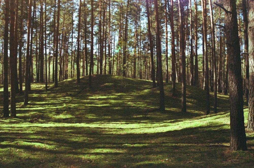 Photograph by Виктор Личутин