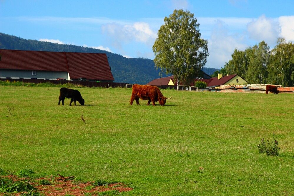 Photograph by Maciej Morgiel